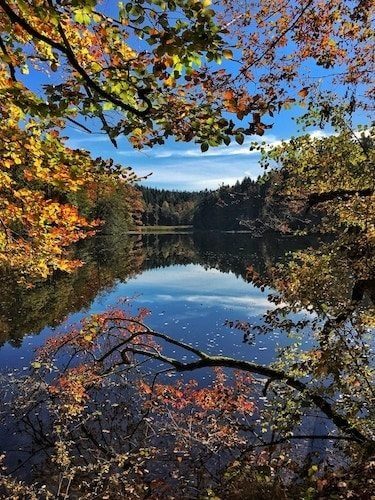 The Connecticut Department of Energy and Environmental Protection shares the coming weeks for peak color