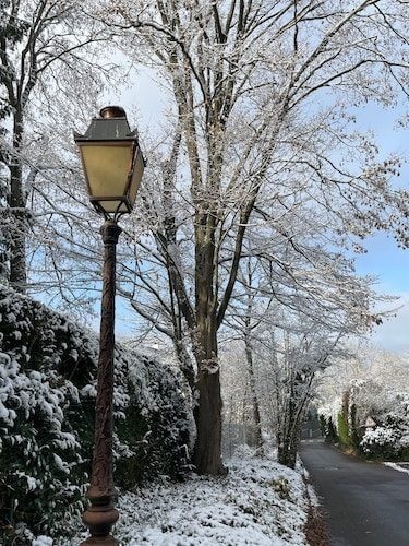Lamp post along a snowy street during the winter season