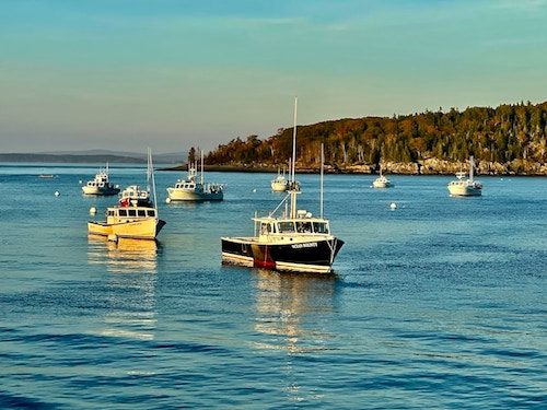 View of Bar Harbor fishing boats before discovering some great hiking (and more outdoor activities) in Acadia National Park