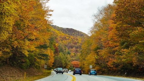 Fall foliage along New England road trips