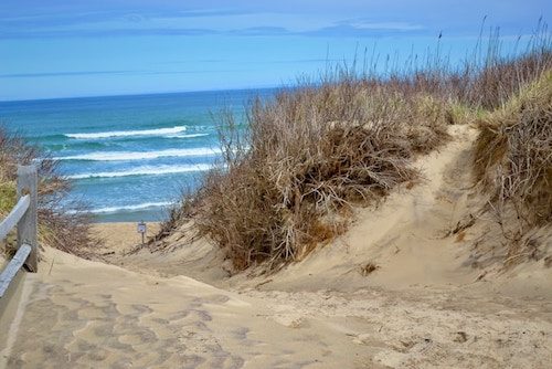 People have been visiting the Cape Cod shoreline (including Martha's Vineyard) for millennia, from Native Americans onwards. Why not you?