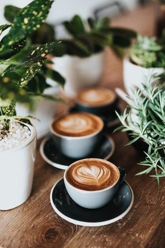 Small espressos with coffee from Shearwater Coffee Roasters