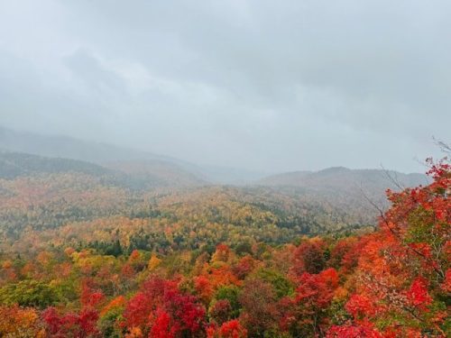 Things To Do In The Catskills: Top 23 Most Unique Spots 1 Fall foliage among the lush forests of Greene County, ripe for outdoor adventures