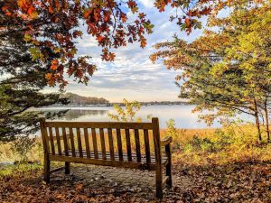 bench with a view of fall foliage, one of the best spots to explore on a greenwich ct fall getaway package