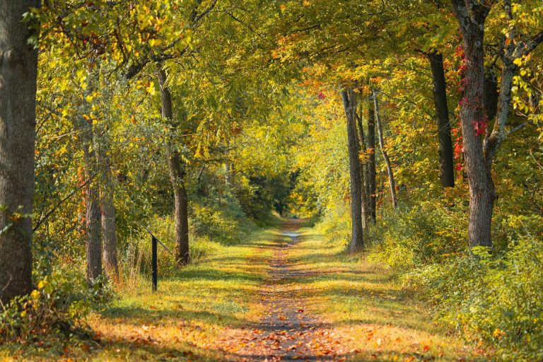 Hudson Valley fall foliage along a rail trail in Gardiner, New York