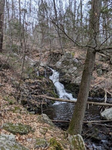 waterfall in mianus river gorge