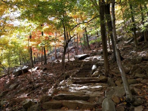 hiking trail in bear mountain state park, one of the best hiking trails near greenwich ct and nyc