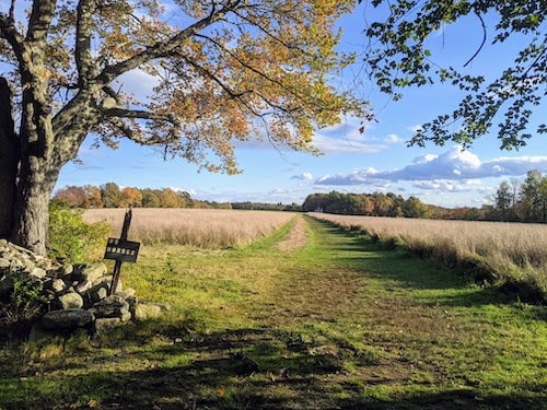 Head north from Greenwich along a scenic highway to Litchfield County and the adorable town of Litchfield