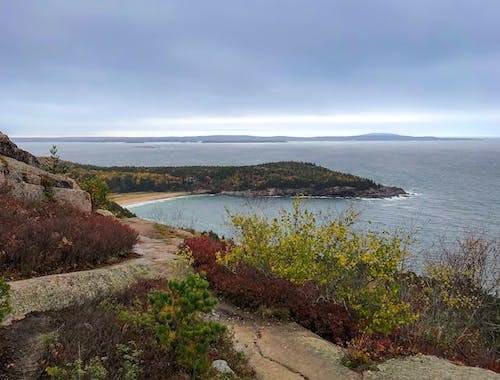 Fall foliage along the coast line of Acadia National Park in Maine