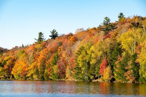 New England fall foliage along a tranquil lake in the White Mountain National Forest