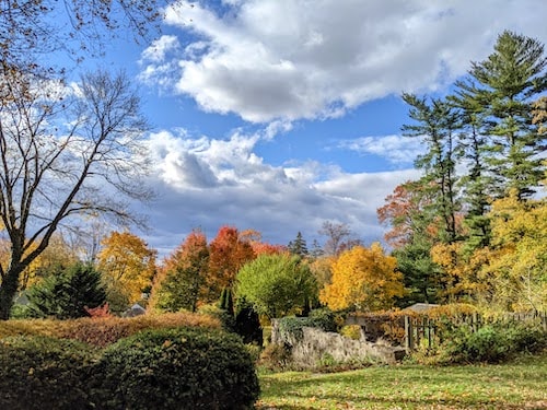 View of peak fall foliage in the back gardens of Stanton House Inn, in our lovely town of Greenwich, CT