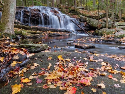 Fall foliage along a cascade near Mount Washington