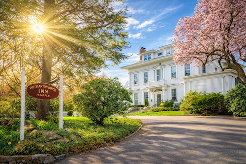The front of Stanton House Inn in spring, a gorgeous magnolia tree blossoming beside it