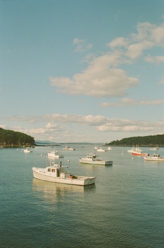 Boats in Bar Harbor