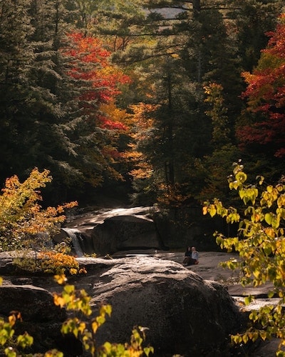 Don't miss the fall foliage