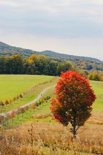 Storm King Art Center, a major stop along the Storm King Highway