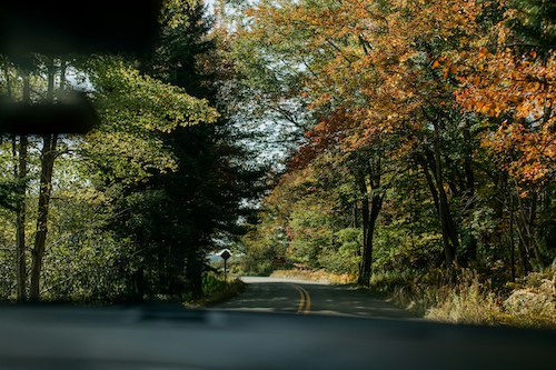 On a road trip through Maine that leads to Acadia National Park
