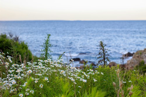A few hours along the Marginal Way cliff path in Ogunquit, Maine