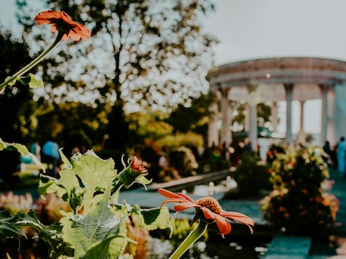 Flowers blooming in front of the pergola in the Persian garden of one of the most celebrated gardens in America one hundred years ago
